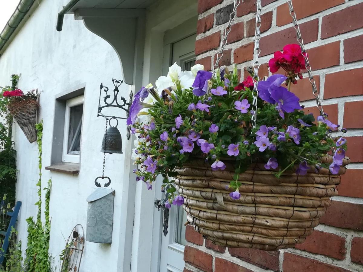 Ferienwohnung Brodersen Boren Экстерьер фото